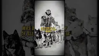 Togo: The Sled dog Who Helped To Save Alaska #shorts