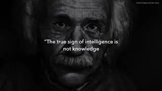 Albert Einstein - motive