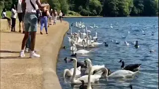 Leeds Roundhay Park, Lake Side |U.K|