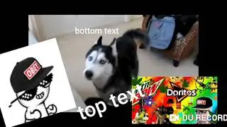 3pic aut0tun3d d00go (MLg 360 no scope shrek)