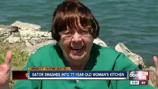 Unwanted Visitor: 11-foot alligator breaks into Florida homeowner's kitchen
