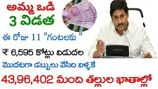 amma vodi payment status|amma vodi status online|how to check amma vodi payment status 2022