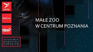 Małe zoo w centrum Poznania.