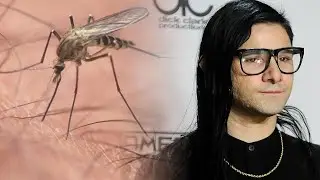 Can Skrillex's Music Prevent Mosquito Bites?