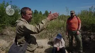 Геология Ленобласти. Экскурсия в Пудость