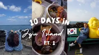 girls jeju trip 🍊✨ 10 days, good eats, exploring, sister’s apartment, vlog
