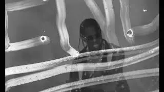 Travis Scott - Intimist (Music Video)