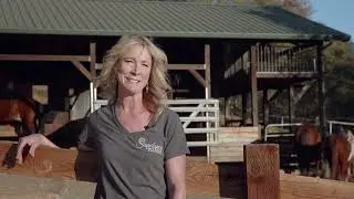 Sundance Horse Rescue: A Safe Place for Horses