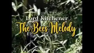 The Bees Melody (1992 Music Video) - Lord Kitchener