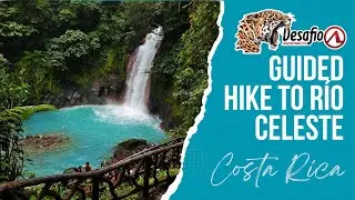 Guided Hike to R&iacute;o Celeste &ndash; Discover the Magic of the Sky River! 🌊🌿