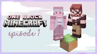 Welcome To Chaos | Minecraft OneBlock #1