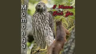 I Wanna Fuck You