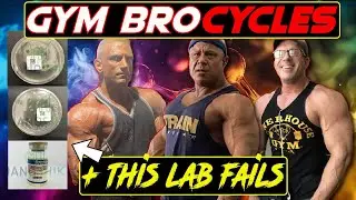 Gym Bro Steroid Cycles: How Doses Change for Bulks vs Cuts (Plus a Gear Safety Warning)