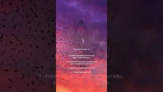 4 KURAL İLE MUTLULUK #motivasyong #motivation #fly #bird #moon #sky