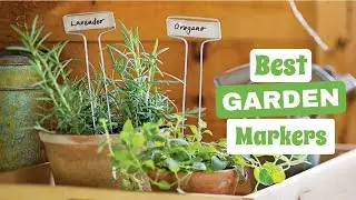 Garden Markers: Your Guide to the Best Tools for a Flourishing Garden | The Guardians Choice