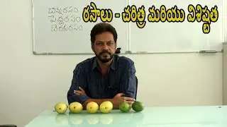 రసాలు మామిడి చరిత్ర మరియు విశిష్టత | All About Cheruku Rasalu Mango | History Of Cheruku rasalu