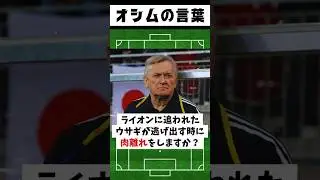 「ライオンに追われたウサギが逃げ出す時に肉離れをしますか？」 #shorts  #サッカー #オシム監督 #オシムの言葉 #jリーグ #jleague