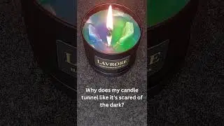 Why does my candle tunnel like it&rsquo;s scared of the dark?... #candlemaking #homefragrance