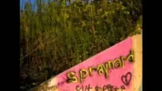 Spraynard - Damn Julie, Damn