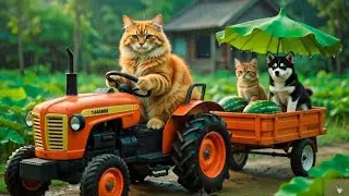 #ai #cat #billi #catai #aicat #catshorts #catvideo #aivideo #trending #viral #viralvideo 