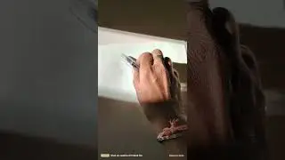 SIKIB transparent body fountain pen 