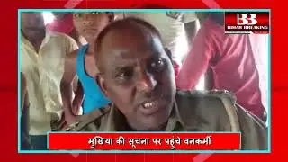 #BIHARBREAKING#बाघ की चहलकदमी से लोग परेशान