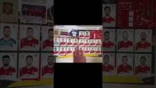 Obtenir ses cartes manquantes Panini