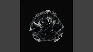Birth_III