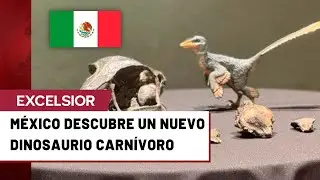 Descubren en Coahuila un nuevo dinosaurio carn&iacute;voro de hace 74 millones de a&ntilde;os