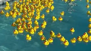 #Unitedistheway Spotlight: Grayson County Alliance and the Ducking Hunger Regatta