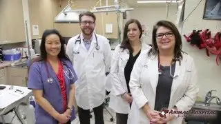 Animal Hospital of Huntington Beach, CA