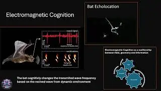 Electromagnetic Cognition