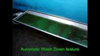 Cowcare Auto-Flush footbath for cows.