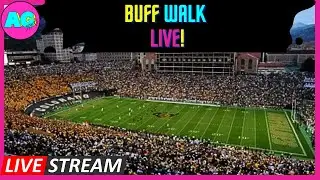 Buff Walk! - Alpine Garage Sports is live!