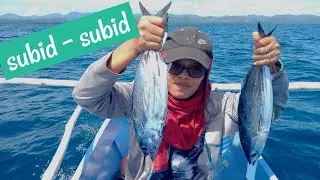 CATCHING SKIPJACK TUNA SA PAYAW (SUBID) PART 03 | traditional fishing in Philippines