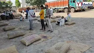 आगरा, सिरसागंज और इटावा में क्यों बिकता आलू तेज