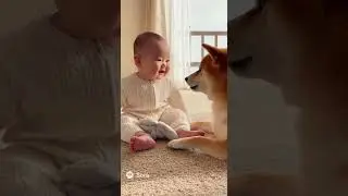 Sweet & funny moments! 👶🐶🐱 Best baby and pet interactions. #funnyanimals #babyanddog #cutevideo