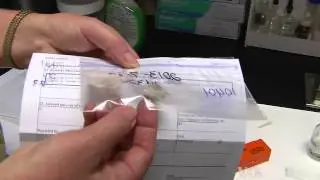Feather Forensics Help Prevent Aviation Accidents