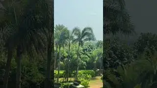 Garden view @ leela palace #leelapalace