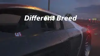 Need for Speed Unbound    Audi R8 Rapid Transit 3:37