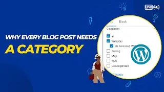 Why Every Blog Post Needs a Category (Especially for Business Blogs)