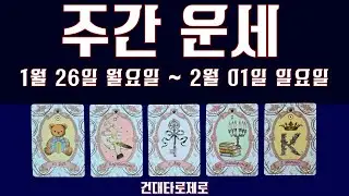 [주간타로] 1월 넷째 주 | 직장, 금전, 시험, 계약, 애정, 심리, 조언