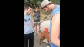 My Canberra 5 Day Party Video Diary