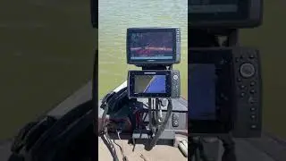 Cornfield Crappie Gear LIVESWEEP and DOUBLE FOLDING MOUNT!!!
