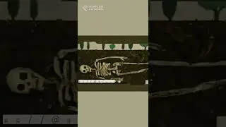 how body mix in soil