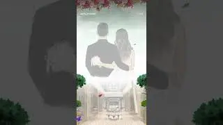 Beautiful Digital Wedding Invitation | Unique E-Cards | Aura Invites #digitalcards #digitalinvite