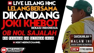 LIVE LELANG HMC//HOKY MERPATI CHANNEL//MERPATI KOLONG//MERPATI MEJA//MERPATI//MERPATI
