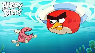 Dive into a Swim-tastic Adventure with the Angry Birds!