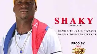 SHAKY-Gang &agrave; Tous Les Niveaux (Official Audio) Prod. by DICE