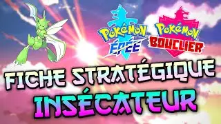 [OU] FICHE STRAT&Eacute;GIQUE D'INS&Eacute;CATEUR 🦗 feat. MizuGios - Pok&eacute;mon &Eacute;p&eacute;e et Bouclier ⚔️🛡️